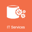 http://www.mindconnect.info/index.php/it-services